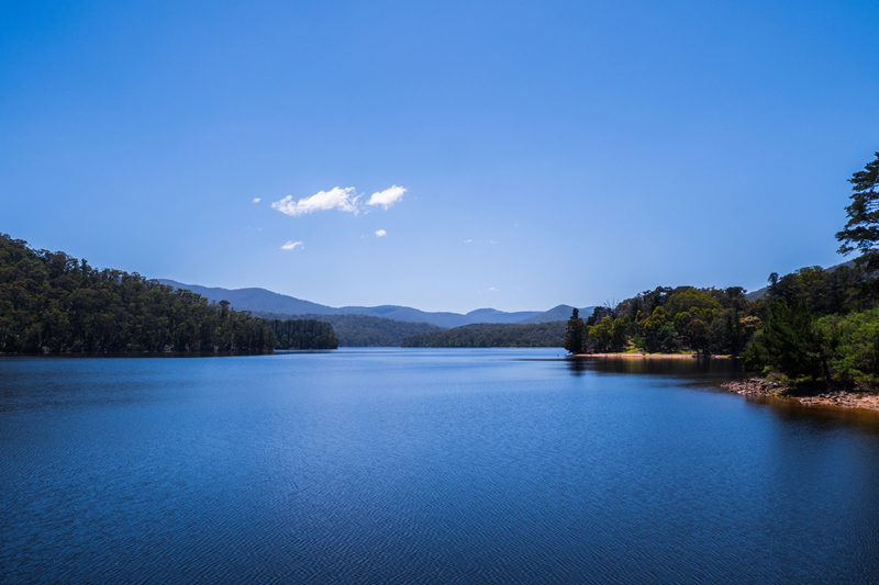 ダム湖や景勝池などの水質改善